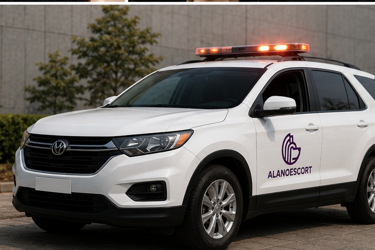 Custodia y seguridad Alanoescort